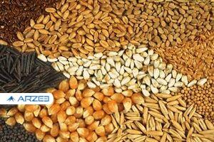 5 راه حل برای حل مشکل بازار نهاده‌ها/ یک واردکننده خاص بیش از دو شرکت دولتی ارز گرفت