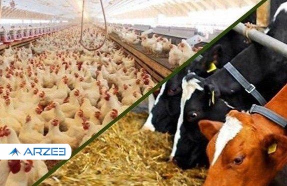 ارسال فهرست وارد کنندگان برای ترخیص نهاده دامی به بانک مرکزی