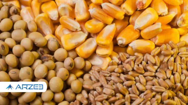 خلیلی: شرایط فعالیت برای واردکنندگان نهاده‌های دامی بسیار سخت است