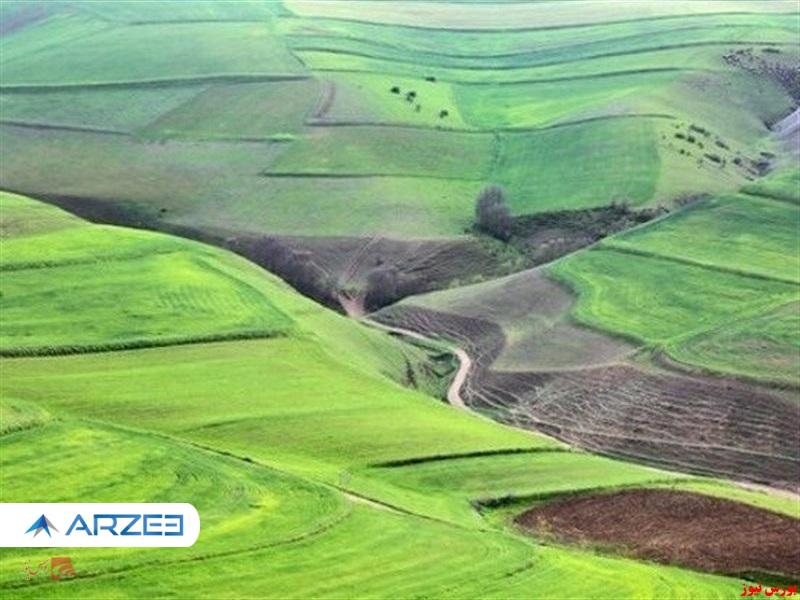 “زفجر” هیات مدیره را تغییر داد