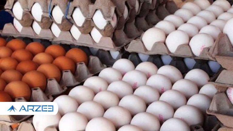 آخرین تحولات بازار تخم مرغ