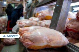 افزایش ۱۰۰ درصدی قیمت مرغ ثبت شد 