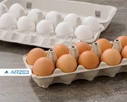 تخم مرغ‌هایی که در یک سبد قرار نگرفتند