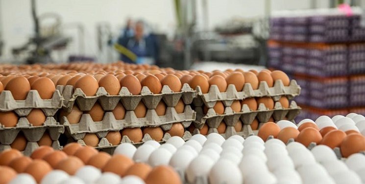 تخم‌مرغ همچنان در اوج؛ چرا قول وزیر جهاد کشاورزی عملی نشد؟