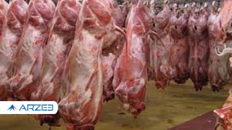 تقاضا در بازار گوشت کاهش یافت