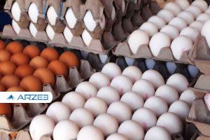 حذف شبکه دلالی در روند توزیع تخم‌مرغ از فردا