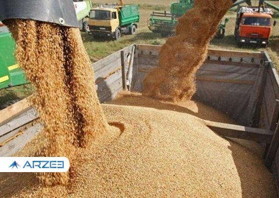 عضو کمیسیون کشاورزی مجلس: شاهد قیمت گذاری کاذب هستیم!