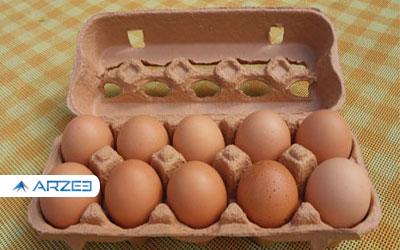 علت گرانی تخم‌مرغ بسته‌بندی از زبان سخنگوی مرغداران