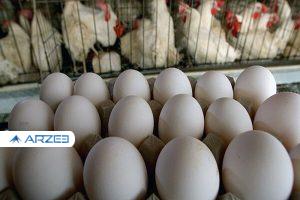 قیمت تخم مرغ تغییر چندانی نکرد؛ هر کیلو مرغ همچنان 18 تا 22 هزار تومان