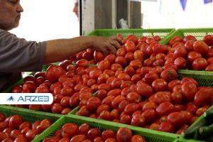 قیمت گوجه‌فرنگی کاهش می‌یابد؛ بازار میوه چشم‌به‌راه محصولات جنوب