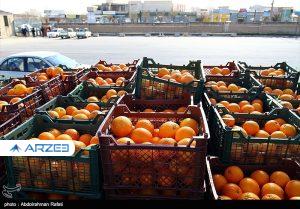 مسئول تنظیم بازار برای میوه شب عید مشخص شد