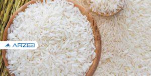 ممنوعیت واردات برنج برداشته شد؛ 200 هزار تن در صف تخصیص ارز