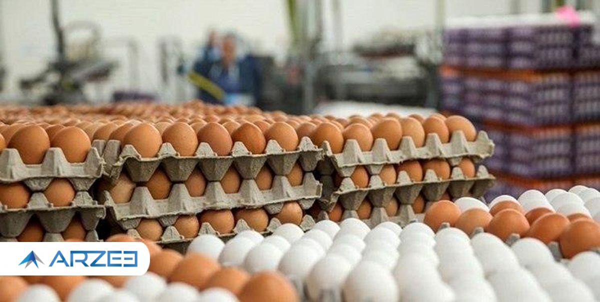 نرخ تخم مرغ شکست
