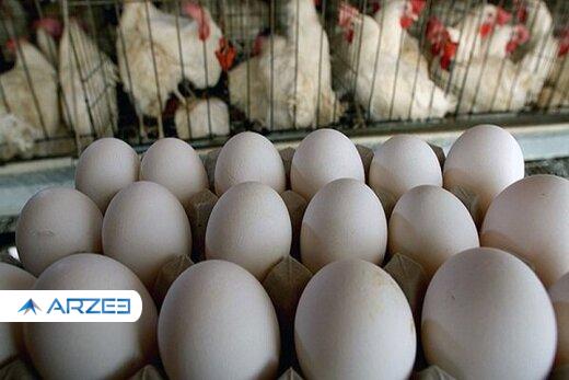 نرخ هر کیلو تخم مرغ در بازار