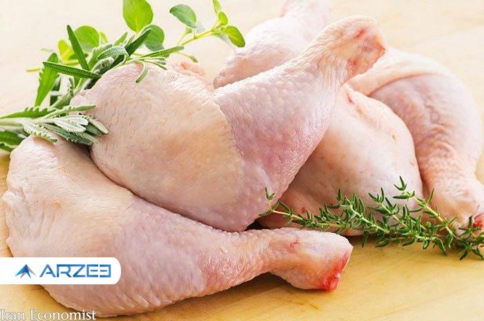 نوسان قیمت مرغ طی ماه های اخیر با افزایش 82 درصدی
