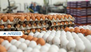 وزیر جهاد کشاورزی: بازار تخم ‌مرغ به زودی متعادل می‌شود