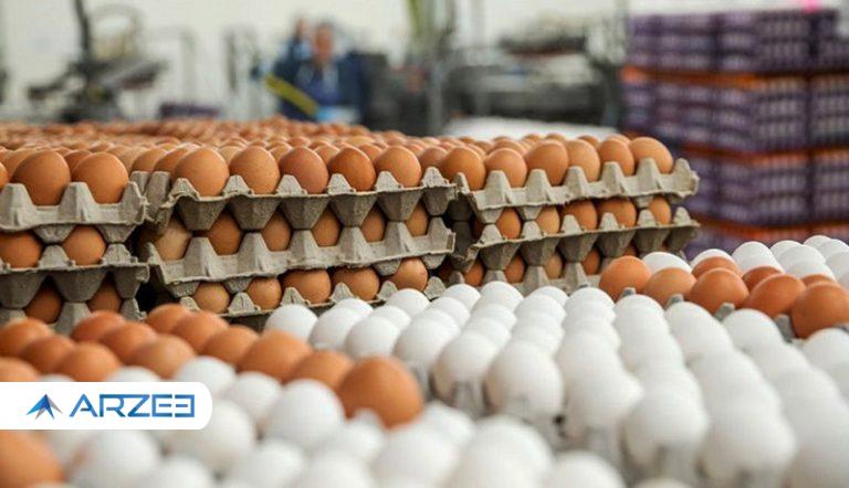 وزیر جهاد کشاورزی: بازار تخم ‌مرغ به زودی متعادل می‌شود