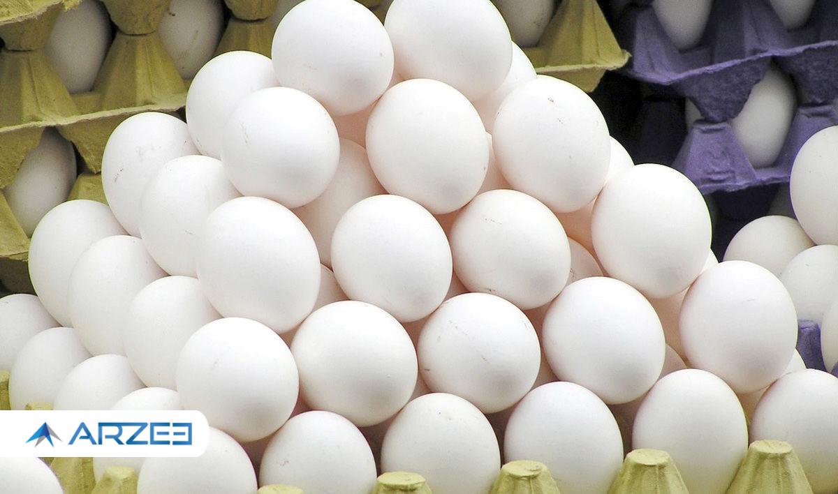 وزیر جهاد کشاورزی: صادرات تخم مرغ ممنوع است